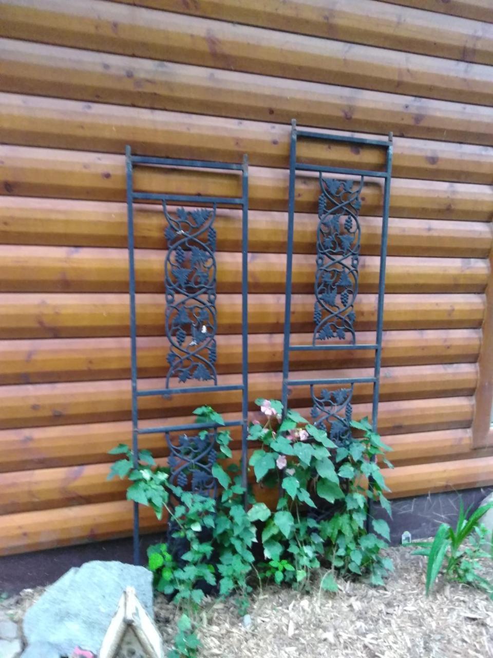 Bed And Breakfast Suite At The Wooded Retreat Pine City Экстерьер фото