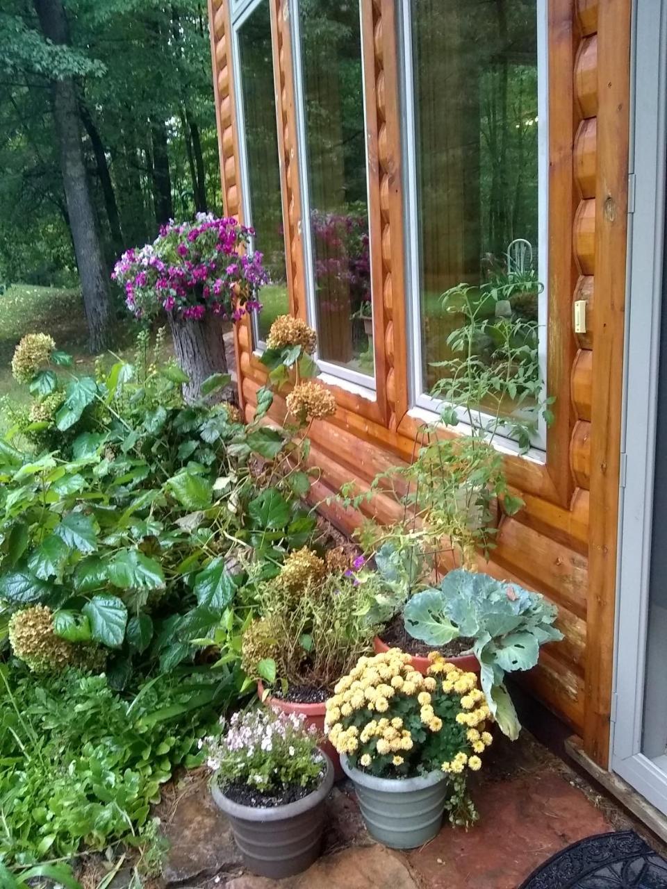 Bed And Breakfast Suite At The Wooded Retreat Pine City Экстерьер фото